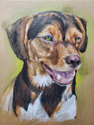 Colored Pencil