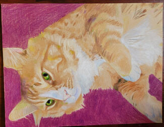 Colored Pencil